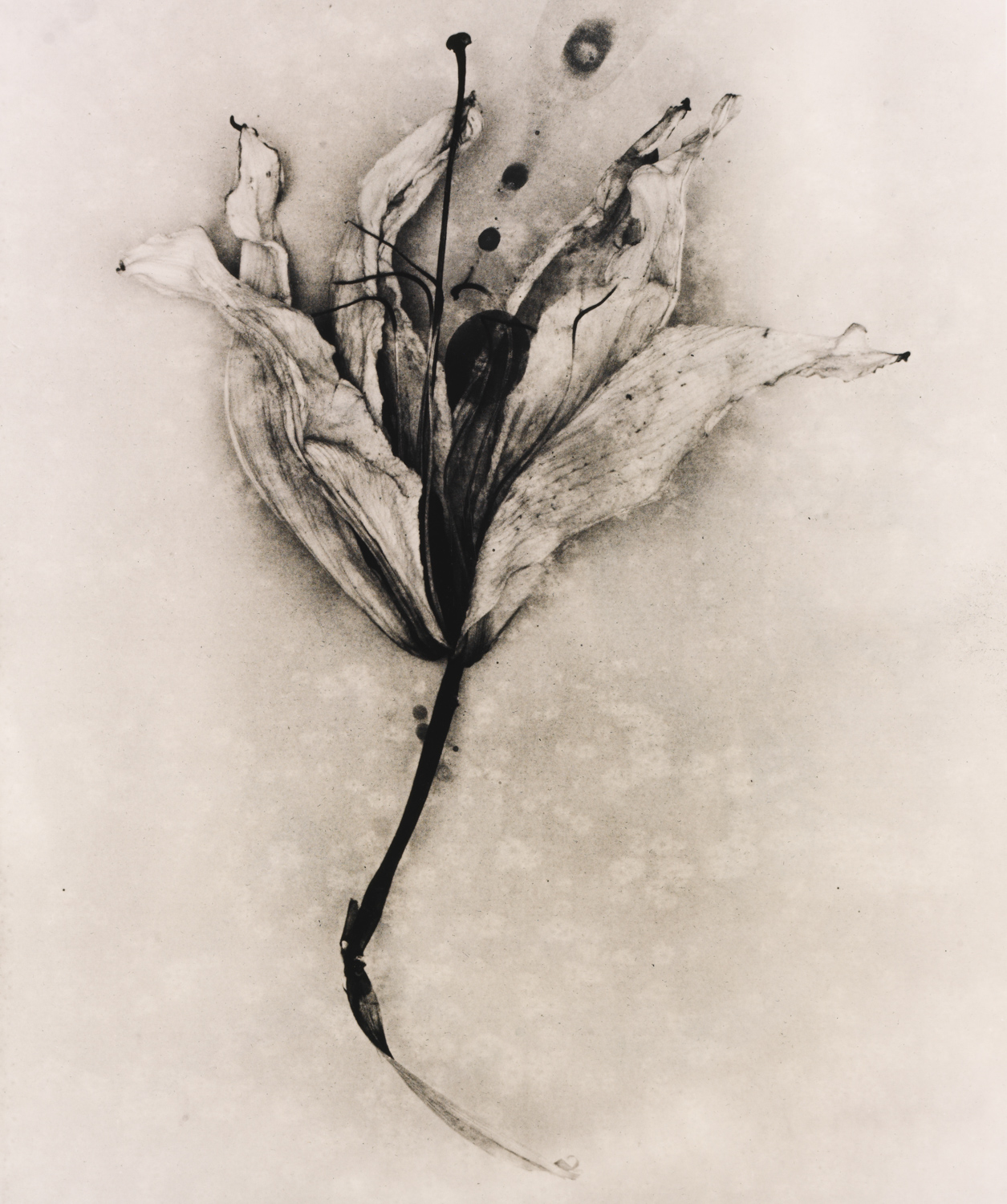 z cyklu bez tytułu, nr neg. 671/16a